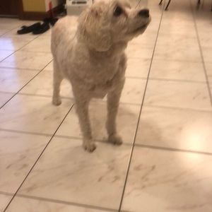 Meet your Posher, Mary ann